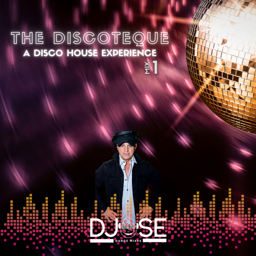 The Discoteque A Disco House Experience 1