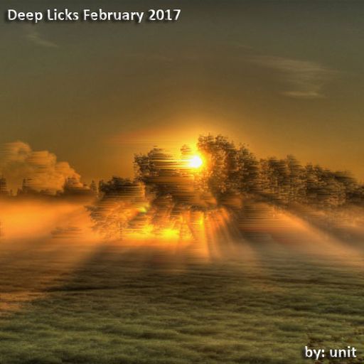 Deep Licks February 2017