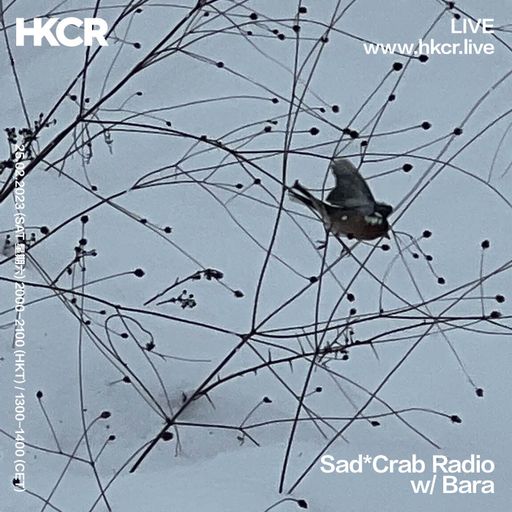 Sad*Crab Radio w/ Bara - 25/02/2023