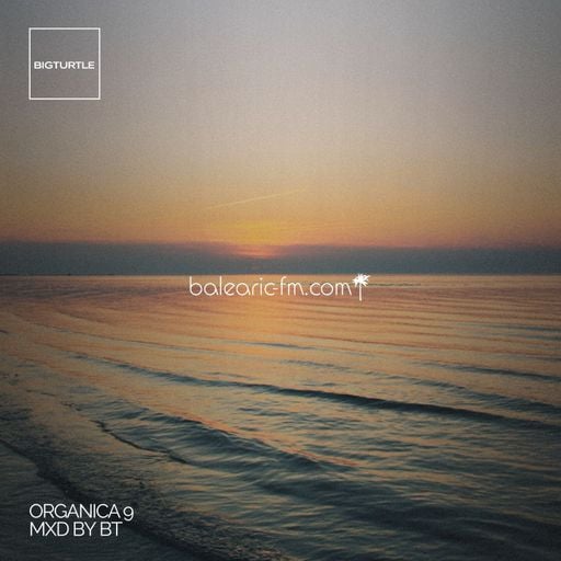 Organic Mix (009) (BigT)