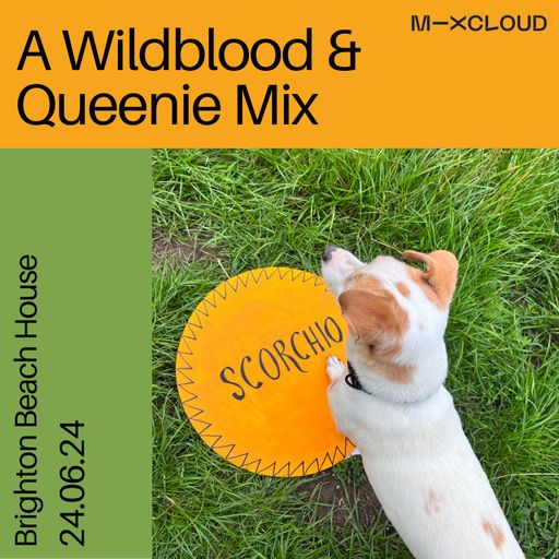 Wildblood and Queenie: Brighton Beach House 240624