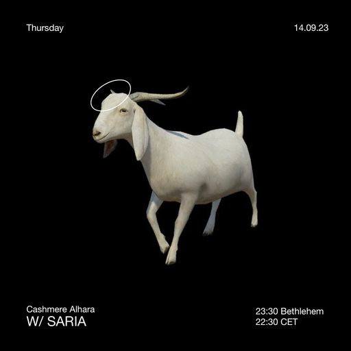 Cashmere Alhara w/ SARIA 14.09.2023