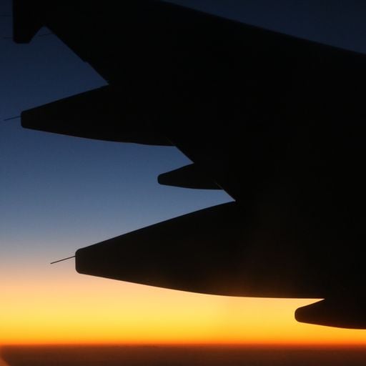 Paulo Ahumada Rovai aka WASABI