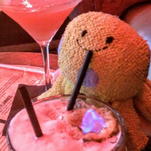 Teddy's Dreams Fundraiser - The Mashup Collection - 10 January 2026