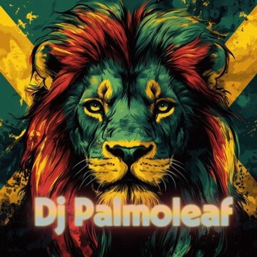 Dj Palmoleaf - Live on SRJ Radio - 09.May 2026