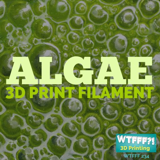 WTFFF 234: Algae 3D Print Filament with Barbara Zeller of Algix 3D