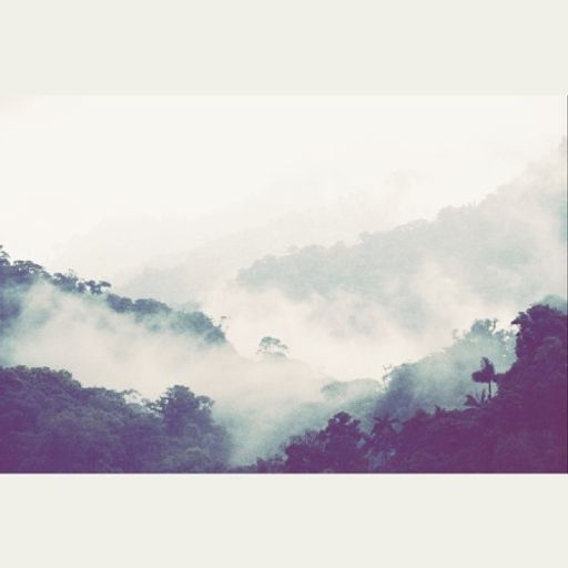 baïau - Sunday Joint