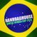 Handbag House - Brasil World Cup 2014
