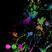 Disrupted Rhythm Mix December 2022