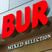 Bur DJ Nr251 2016-01-07