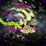 Stereophonic Sound Spectacular | 22nd Jan 2020