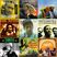 Reggae ROOTS Jamaican Mixtape #9 Trojan Records Essentials Classics Hits Selection