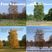 Four Seasons