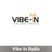 DJBT AND DJ MANKEY THANKSGIVING SPECIAL LIVE ON VIBE-IN RADIO