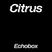 Citrus #4 Torenhoog & Mijlenbreed - Citrux // Echobox Radio 11/11/21