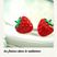 les fraises dans le radiateur s03ep15