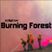 Dj BigCrow - Burning Forest