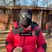 Lefto Early Bird's profile picture