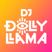 DJ Dolly Llama