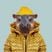 King Hippo's profile picture