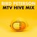 Bird Peterson - MTV Hive Mix image