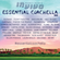 in vivo 012: Essential Coachella 2014 image