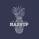 Mashup The Party House Mix June 2022 image