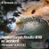 Xenomorph Radio #16 w/ konkrit - 25th Jan 21 - Threads Radio image