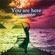 YOU ARE HERE (Balearic Moods) image