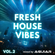 FRESH HOUSE VIBES VOL.2 (2023) [DJ MIX] image