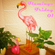 Flamingo Friday 01 image
