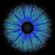 Psychedelic Shadows and Light Regressions November 8th 2023 image