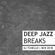 Jazz Breaks and Deep House image