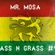 MR.MOSA - BASS N GRASS #9 [dubstep, deep dubstep, dub, raggastep, trap mix] August 2014 image