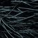 Notes in Dialogue / 19th September 2022 image