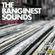 Radio Edit 99 - The Banginest Sounds image