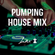 Pumping House Mix  image