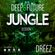 Dreez - Deep & Future Jungle Mix Session 05 image