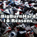 BigBurnHard - 16 Reasons - image