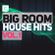 Big Room House Mix - Vol. 1 image