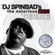 DJ Spinbad - Notorious B.I.G. Tribute Mix (2003) image