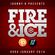 Johnny B - Fire & Ice 29th January 2014 - Bassport.fm image
