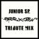Junior SP. - 20 Years Of Terror X Crew - Tribute Mix image