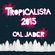 Cal Jader's Tropicalista: Best of 2015 mix - Part 1 image