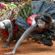 Danza y Trance en África image