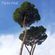 Twin Pine - March 2020 image