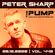 Peter Sharp - The PUMP 2020.12.26. image