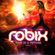 DJ ROBIX - THIS IS A FUTURE PARTE 1 image