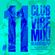 CLUB VIBE MIX #011 DJ ANDY 2022 image