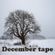 December Tape  image